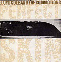 Lloyd Cole : Perfect Skin